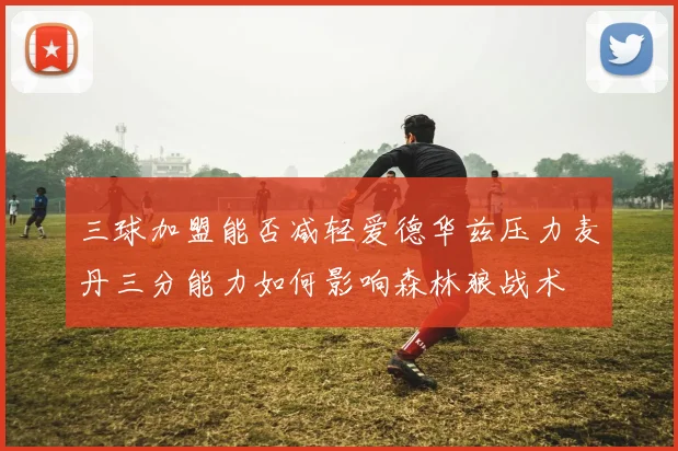 三球加盟能否减轻爱德华兹压力麦丹三分能力如何影响森林狼战术