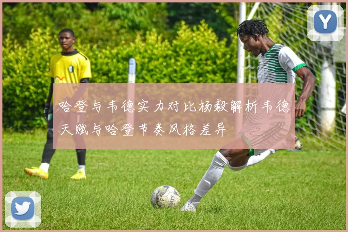 哈登与韦德实力对比杨毅解析韦德天赋与哈登节奏风格差异