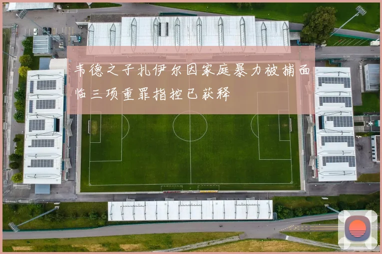 韦德之子扎伊尔因家庭暴力被捕面临三项重罪指控已获释